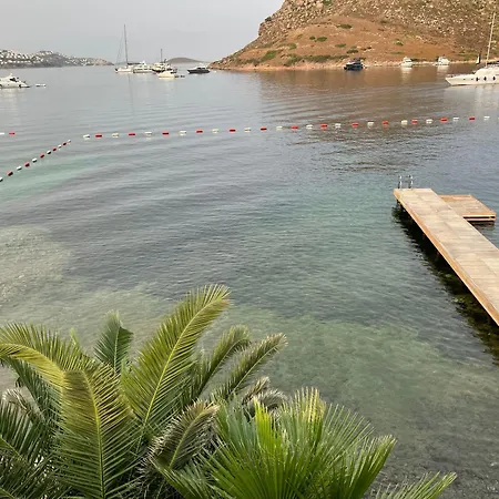 Denize Sıfır Eşsiz Tatil Evi *